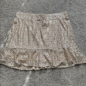 Sequin Skirt